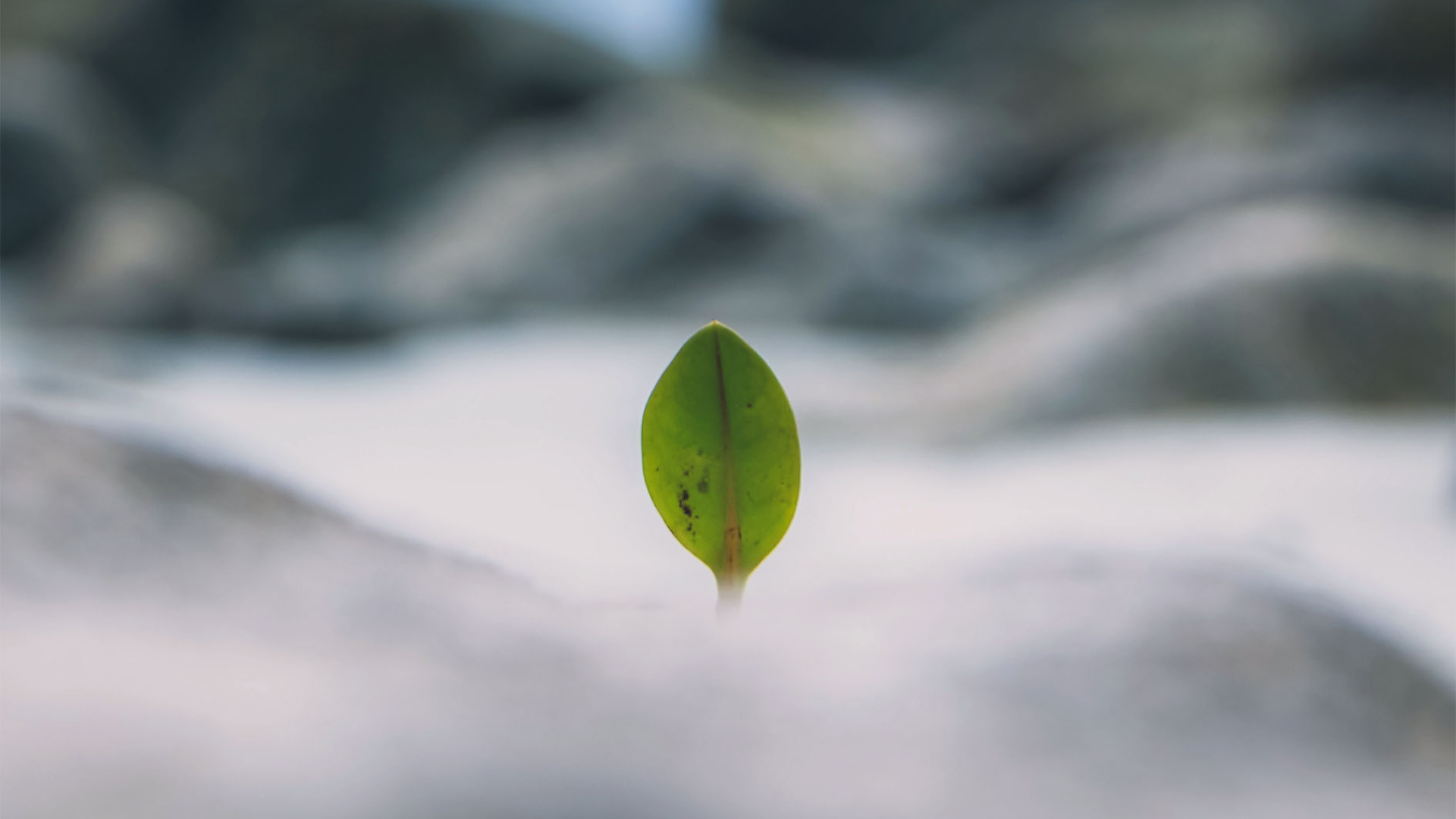 Al momento stai visualizzando Il pensiero di Dio