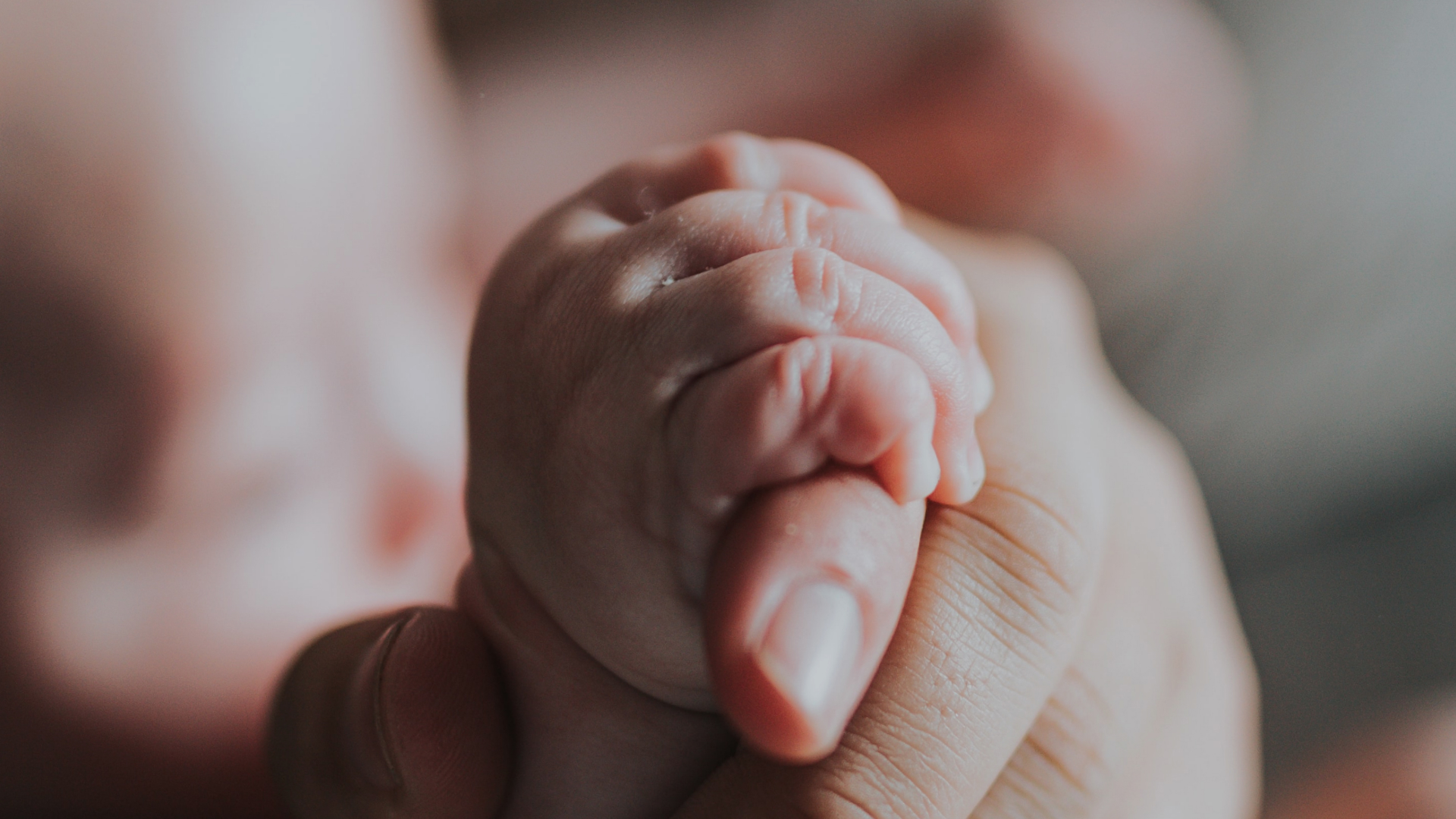 Al momento stai visualizzando L’amore del Padre