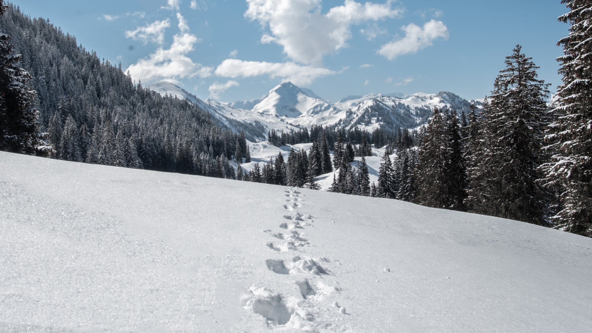 Scopri di più sull'articolo Piedi benedetti