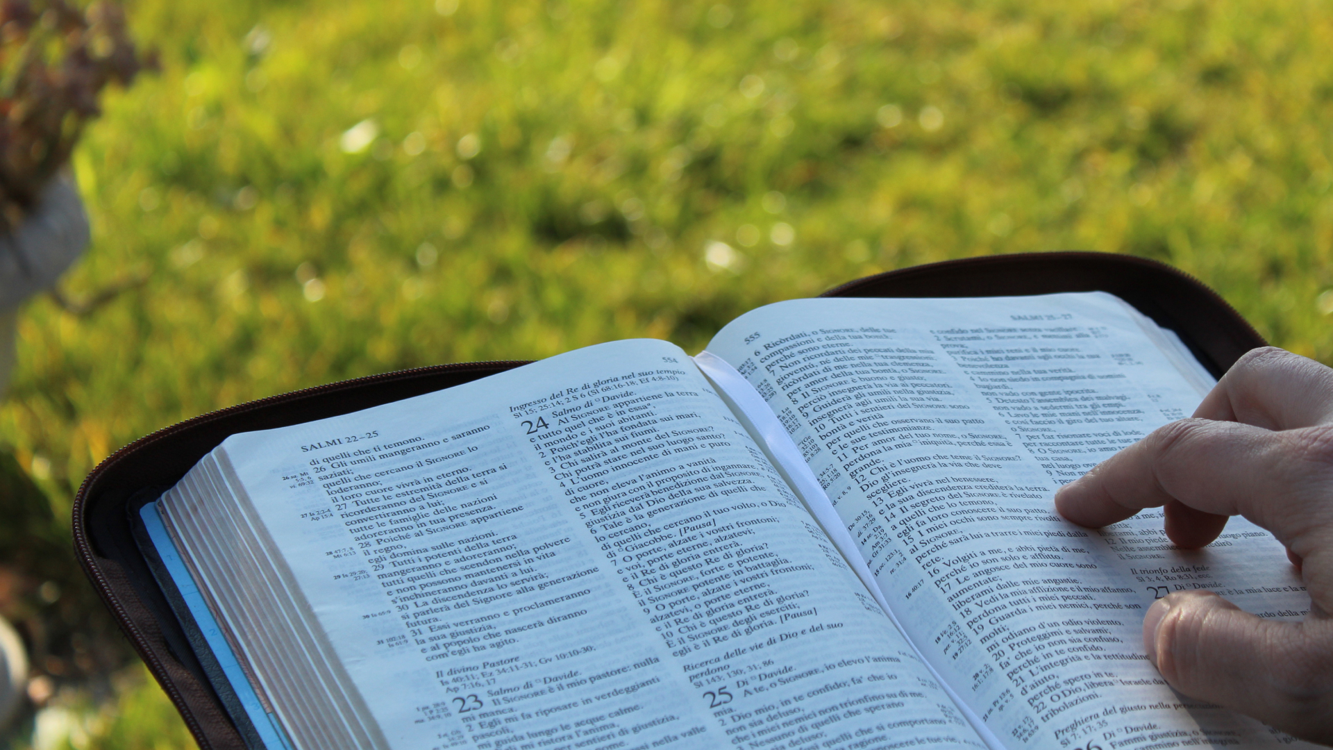 Al momento stai visualizzando 7 motivi per leggere la Bibbia