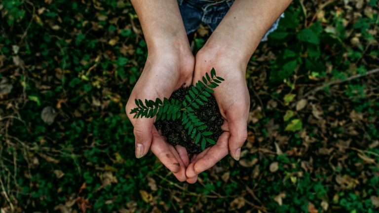 Scopri di più sull'articolo Giovani, ecologia e ambiente