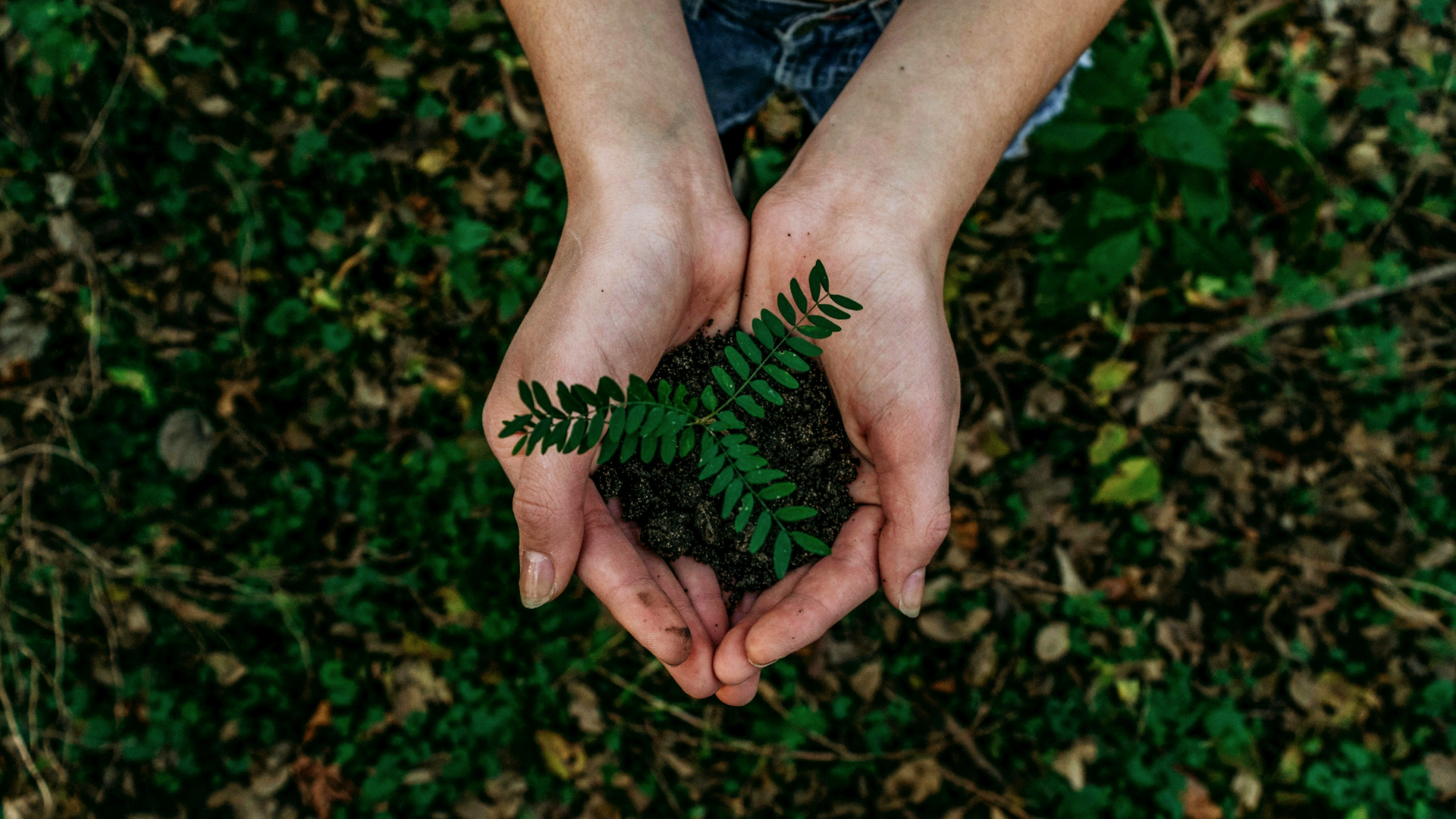 Scopri di più sull'articolo Giovani, ecologia e ambiente