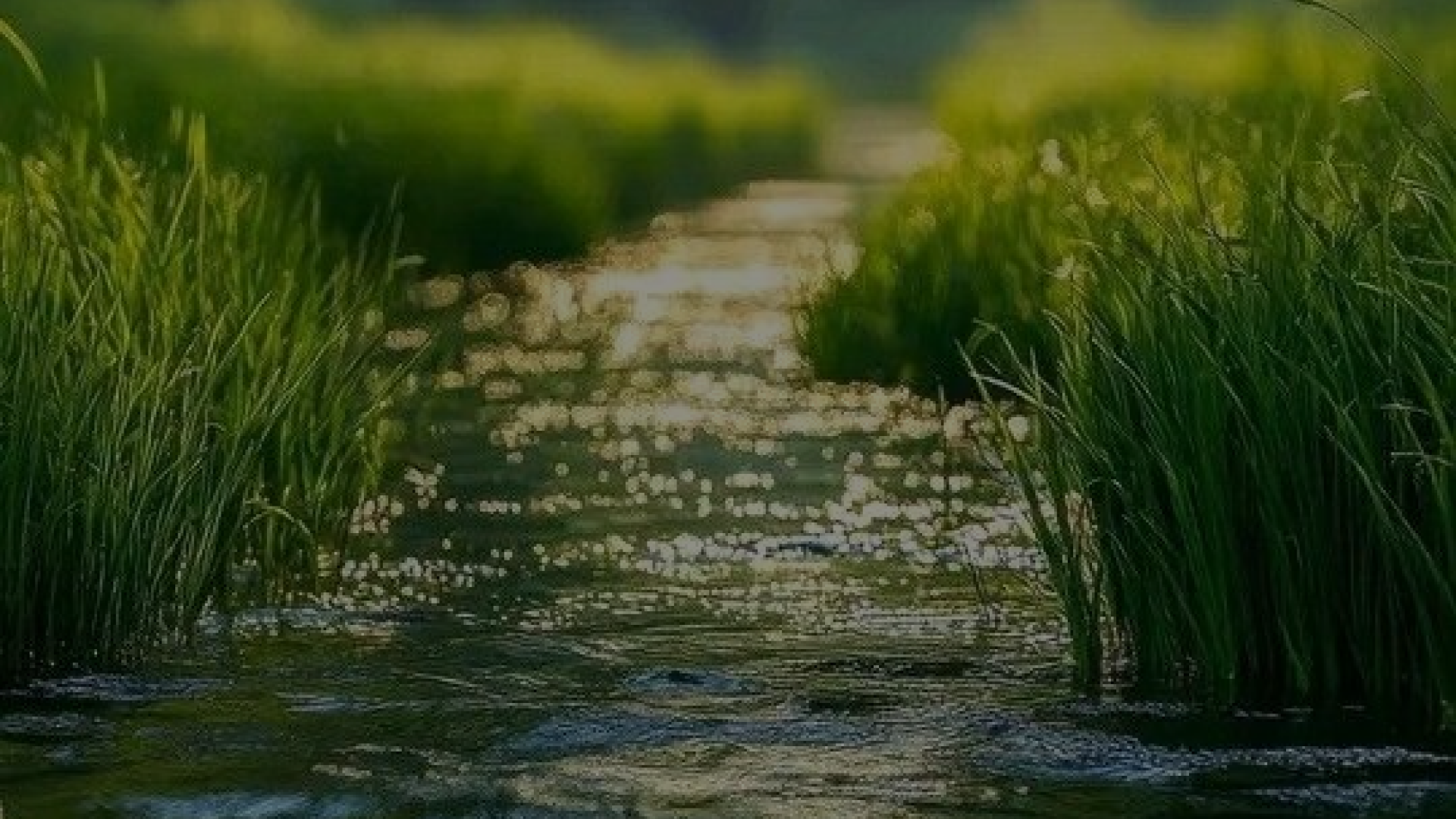 Al momento stai visualizzando Guardare avanti